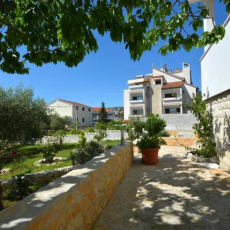 Maslina Trogir