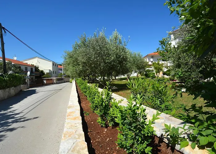 Daire Maslina Trogir